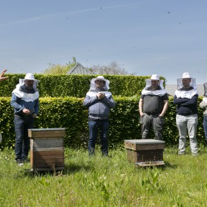 Foto_bijen_op_het_bedrijventerrein_1-min