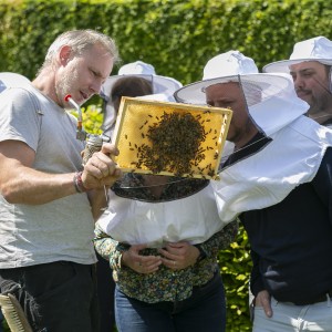 Foto_bijen_op_het_bedrijventerrein_6-min